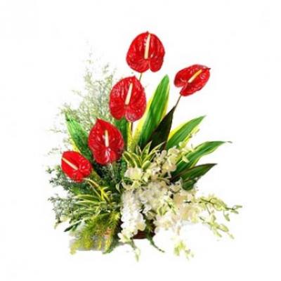 Anthurium & Orchid Arrangement Anthurium & Orchid Arrangement