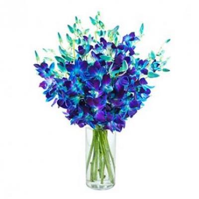 Blue Orchid Vase
