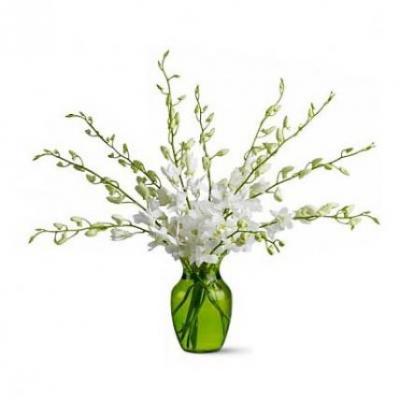 White Orchid Vase