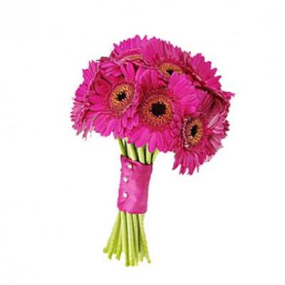 Pink Gerbera Bouquet