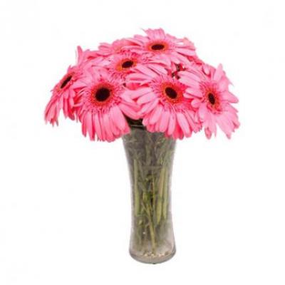 Pink Gerbera Vase