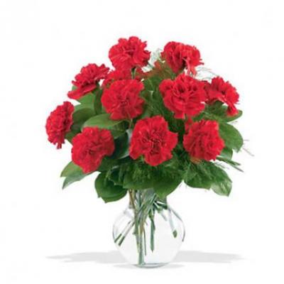 Red Carnation Vase