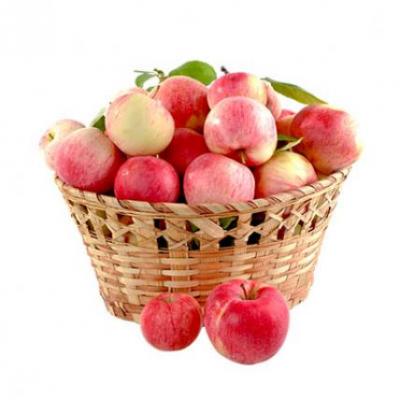 Apple Basket