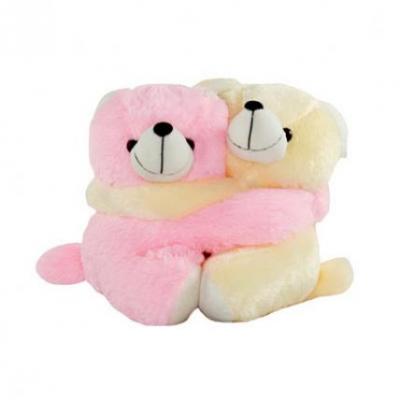 Hugging Teddy Bear