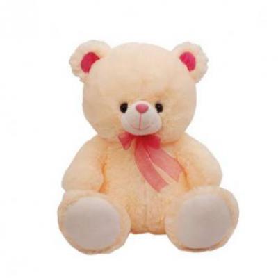 Teddy Bear 20 Inch