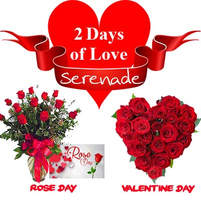 Online Valentine Gifts  Make Your Valentine Cherished  Send to Dubai Now   The Perfect Gift Dubai