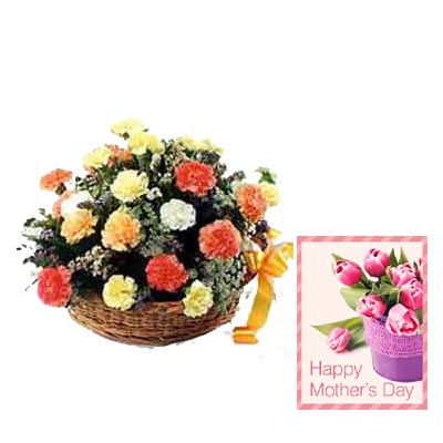 Mixed Carnation Basket with Mothers Day Card Mixed Carnation Basket with Mothers Day Card