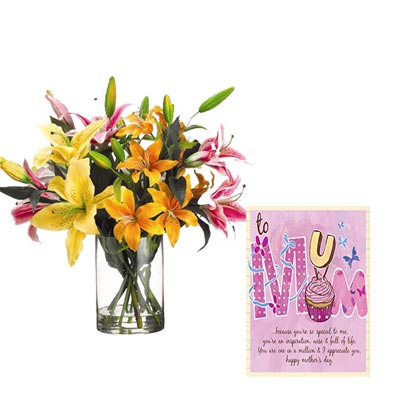 Mixed Lily Vase with Mothers Day Card Mixed Lily Vase with Mothers Day Card