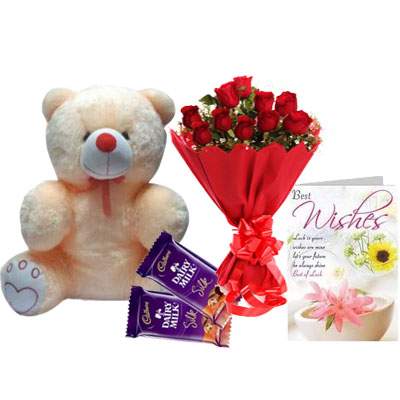 20 Inch Teddy with Bouquet, Silk & Card