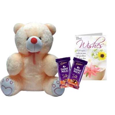 20 Inch Teddy with Silk & Card