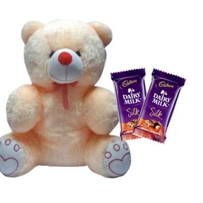 20 Inch Teddy with Silk 20 Inch Teddy with Silk