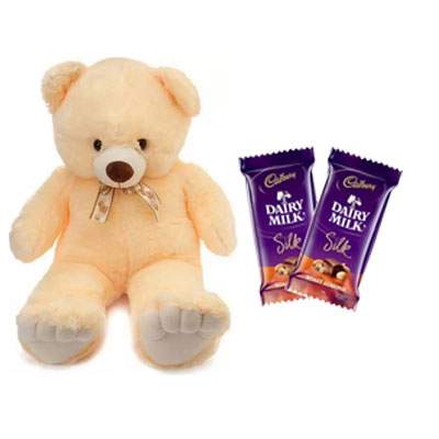 24 Inch Teddy with Silk 24 Inch Teddy with Silk