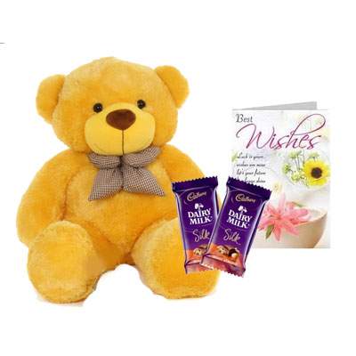 36 Inch Teddy with Silk & Card