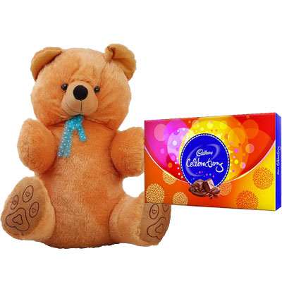 40 Inch Teddy with Celebration