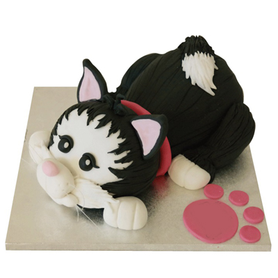 Marvelous Cat Cake