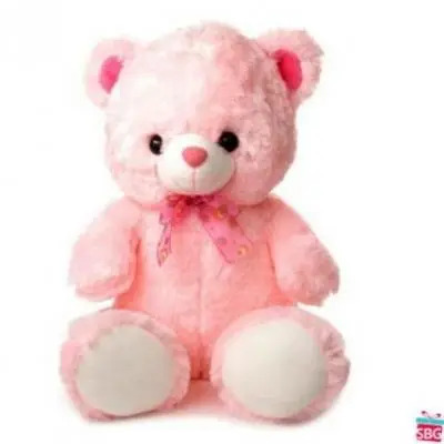 Big Pink Teddy Bear